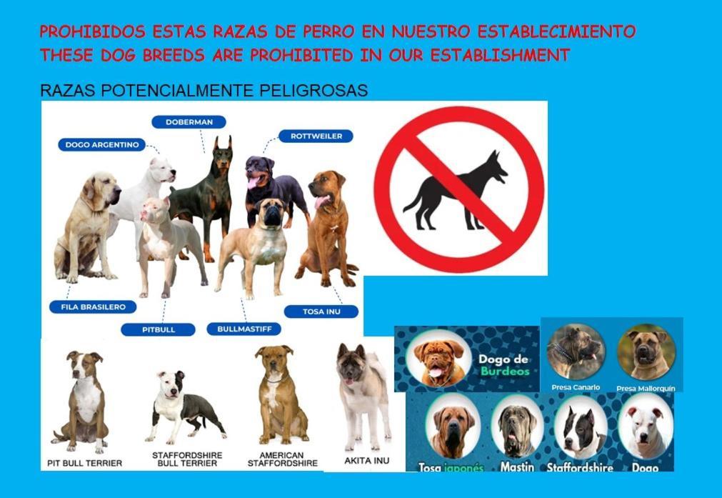 Oviedo Centro-Plaza Longoria 아파트 외부 사진